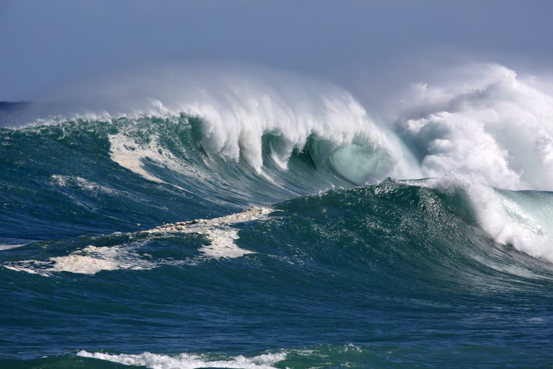 nature tropica illustration meteo