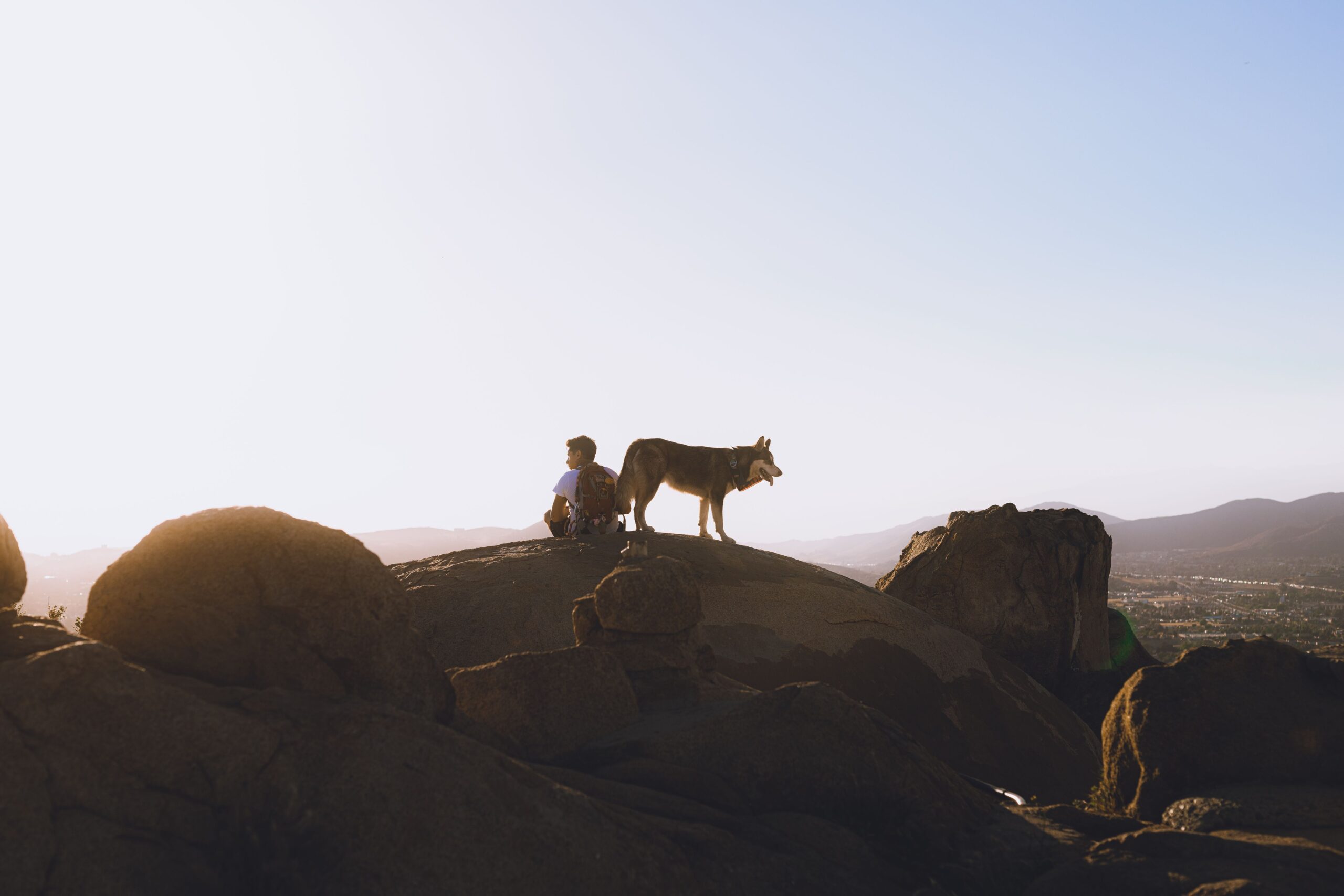A person and their dog enjoy a scenic sunset outdoors on a rocky hill.