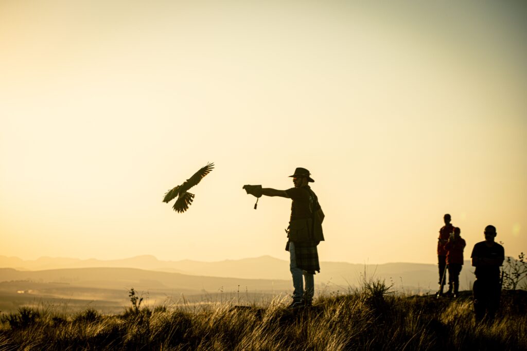 A silhouette of a falconer releasing a bird in a rural landscape at sunset, Carrancas, Brazil.