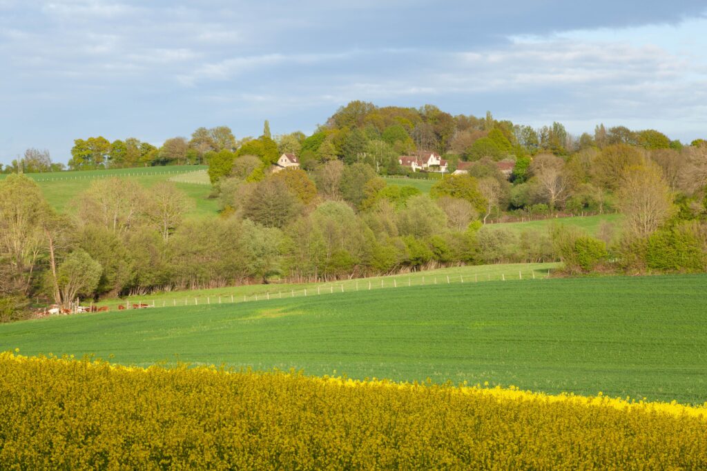 Lush green fields and rolling hills in Mortagne-au-Perche, Normandy, France.