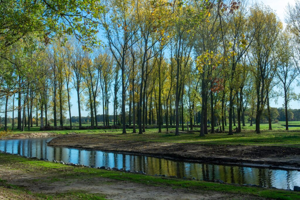 Tranquil canal reflecting trees in a sunlit forest, perfect for nature lovers.