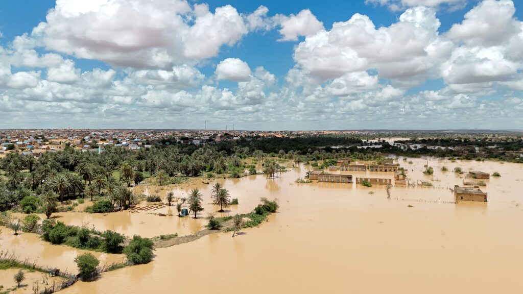 Aerial view of a rural area flooded with water, palm trees, and distant village.