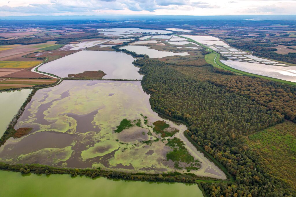 Expansive aerial view of wetlands and forests in Garešnica, highlighting nature