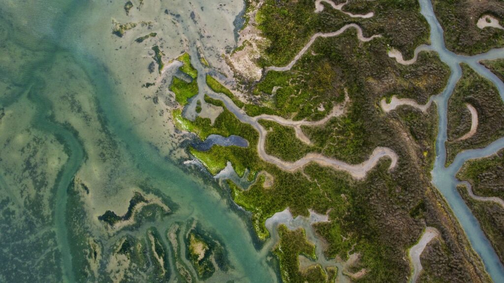 Aerial view showcasing intricate waterways and lush greenery of Saint-Suliac, Bretagne.