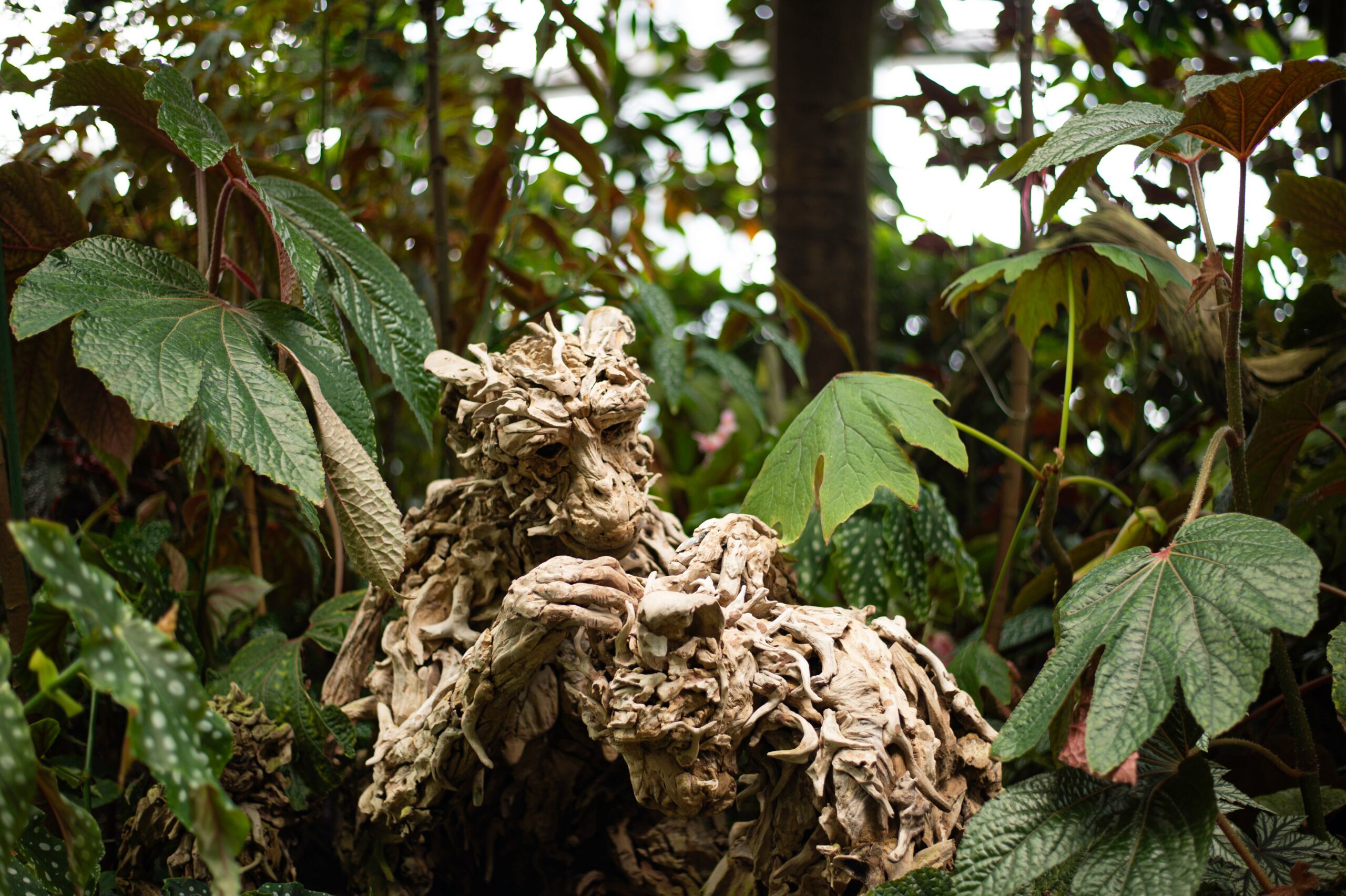 A unique wooden sculpture integrated into a vibrant green garden.