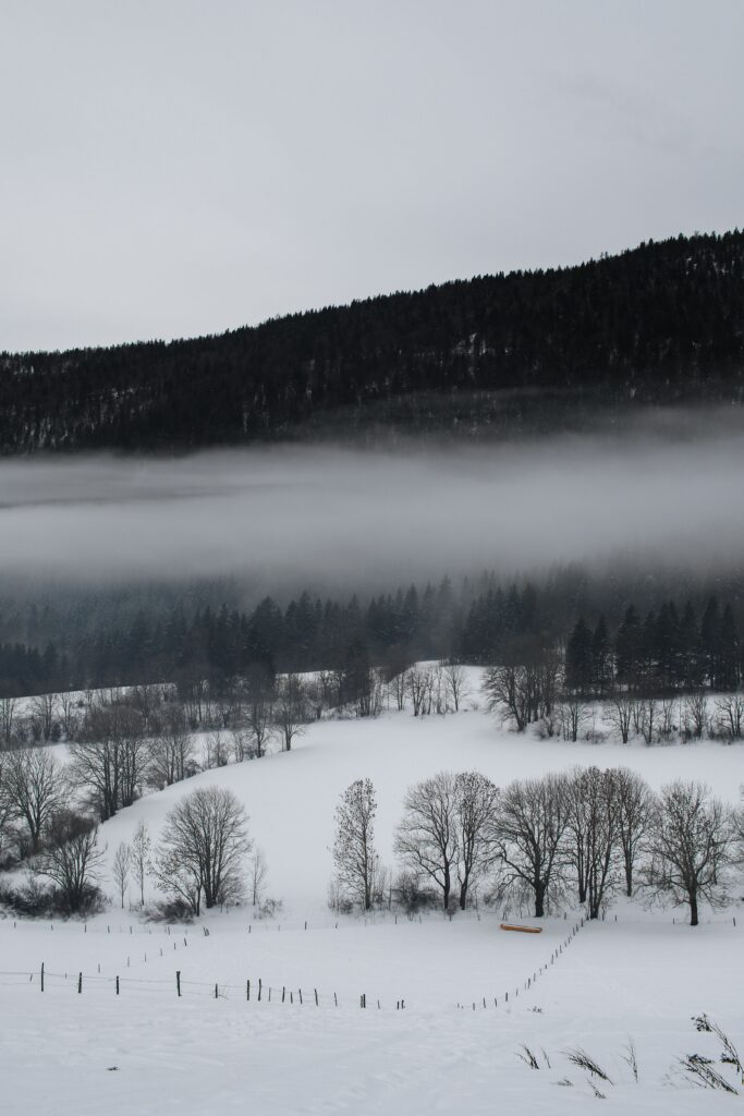 Serene winter scene in the Vercors, France featuring snow-covered fields and misty forests.