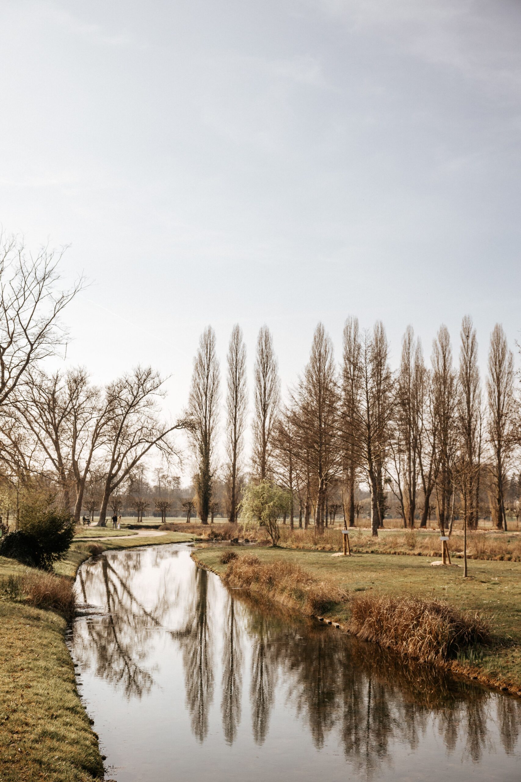Tranquil scene of a river reflecting trees in Chantilly, Hauts-de-France, France.