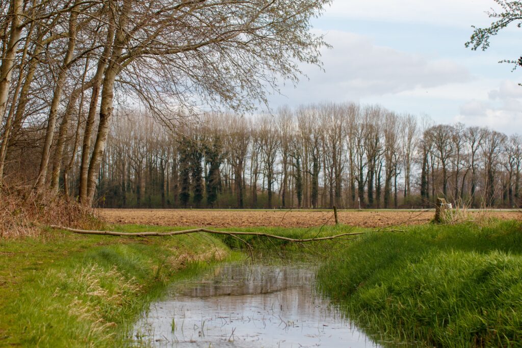A serene landscape featuring a stream and leafless trees in early spring.
