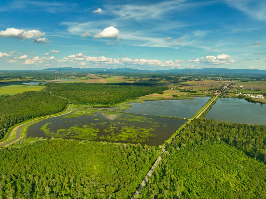 Aerial shot of lush green wetlands and forests under a clear blue sky in Garešnica, Croatia.