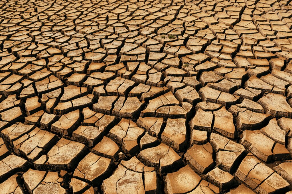 A detailed view of cracked, arid earth surface indicating drought in Colorado.