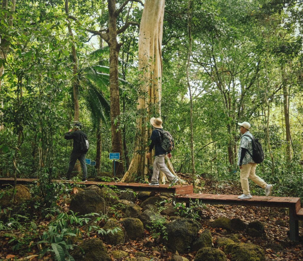 Three adults walking on a wooden boardwalk trail through a lush forest. Ideal for hiking and nature enthusiasts.