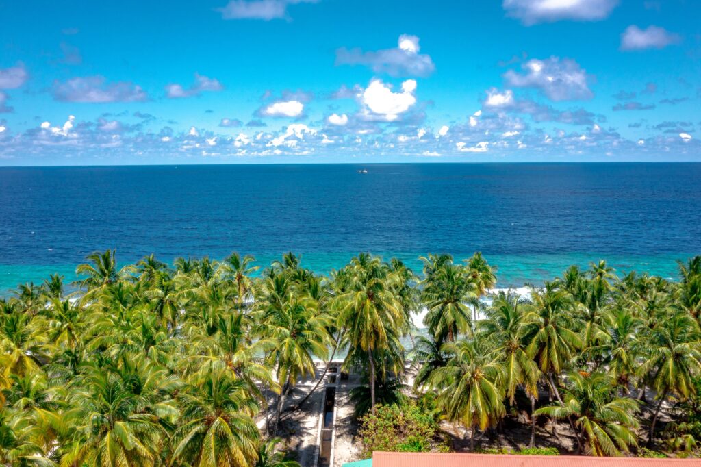 Aerial view of tropical palm trees lining a pristine beach with azure ocean and blue skies in the Maldives.