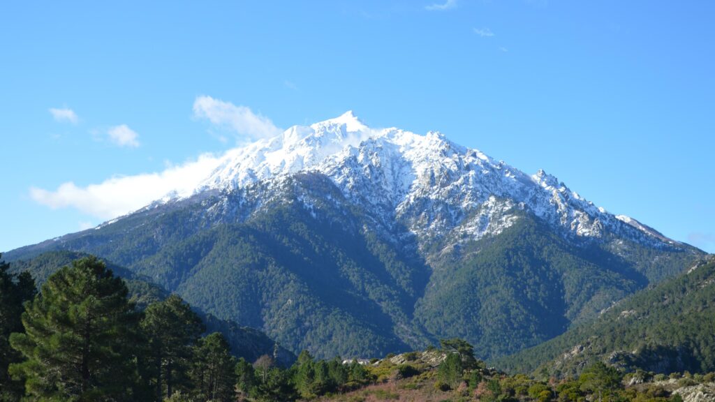Stunning view of snow-capped mountains and green forests in Vivario, Corsica.