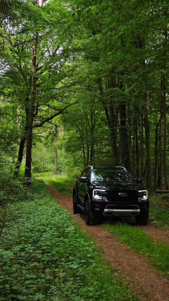 A black SUV navigates a lush green forest path, showcasing adventure and exploration.